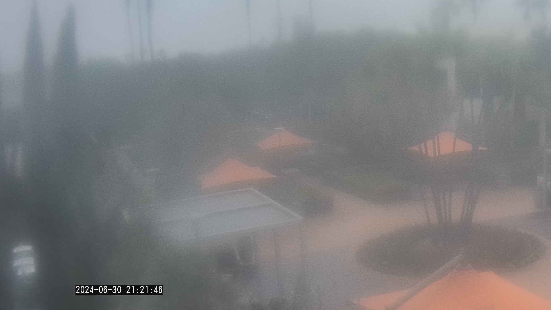 Live camera in LOS ANGELES